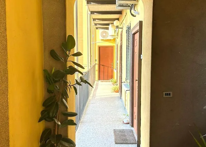 Eclecticjungle - Eco Design, *